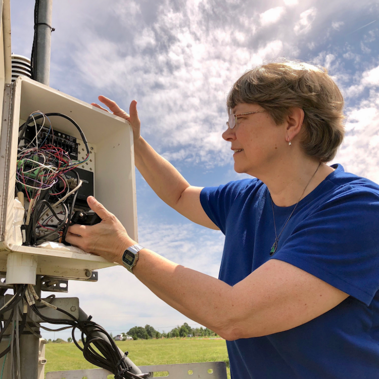Knox named interim director of Georgia weather monitoring network